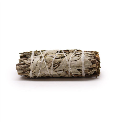 Vista frontal de atado de salvia blanca y follaje de pirul de 10 cm sahumerio natural