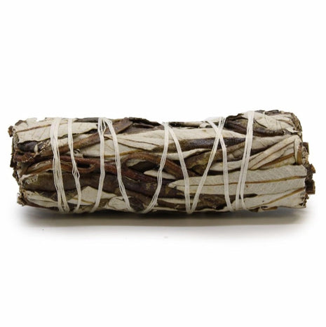Imagen de Atado de Salvia de Hierba Santa (10 cm) - Lectura numerológica en In Your Path